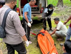 Penemuan Mayat Laki Laki Di Perkebunan Sawit, Gegerkan Warga Kecamatan Manis Mata
