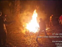 Fast Respon Informasi Warga : Polres Melawi Tindak Tegas Arena tempat Sabung Ayam