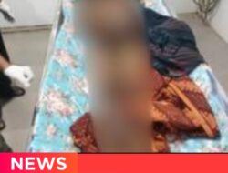 Sebuah Speed Boat di Timpa Pohon Membuat Ronal Siregar 21 Th Meninggal Dunia