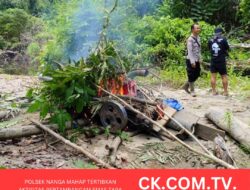 Polsek Nanga Mahap Tertibkan Aktivitas Pertambangan Emas Tanpa Izin di Dusun Enturah