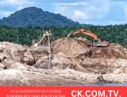 Raja Cukong PETI ALY Cs Bisa Bungkam APH yang Ada di Kalbar