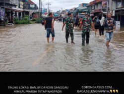 Tinjau Lokasi Banjir, Dandim Sanggau Himbau Warga Tetap Waspada