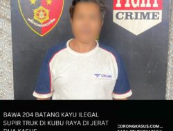 Bawa 204 Batang Kayu Ilegal, Supir Truk di Kubu Raya Dijerat Dua Kasus