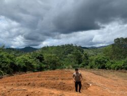 Polsek Sayan Terus Pantau Perkembangan Pertumbuhan Tanaman Jagung