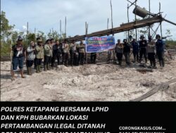 Polres Ketapang Bersama LPHD dan KPH Bubarkan Lokasi Pertambangan Ilegal di Tanah Desa Sungai Pelang, Matan Hilir Selatan