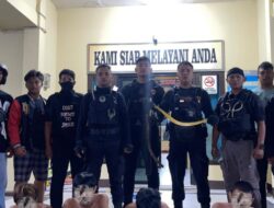 Patroli Enggang Polresta Pontianak Amankan 9 Remaja Bersenjata Tajam di Gang Saad, Pontianak Barat