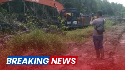 Diduga Jual Hutan Bakau ke Warga, Oknum Kades Kubu Raup Rp1,2 Miliar