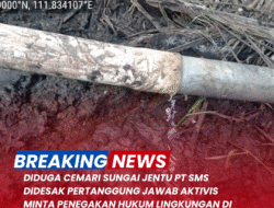 Diduga Cemari Sungai Jentu, PT SMS Didesak Bertanggung Jawab: Aktivis Minta Penegakan Hukum Lingkungan di Kapuas Hulu