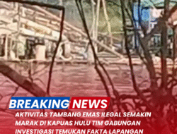 Aktivitas Tambang Emas Ilegal Semakin Marak di Kapuas Hulu, Tim Gabungan Investigasi Temukan Fakta Lapangan