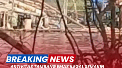 Aktivitas Tambang Emas Ilegal Semakin Marak di Kapuas Hulu, Tim Gabungan Investigasi Temukan Fakta Lapangan