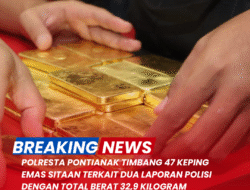 Polresta Pontianak Timbang 47 Keping Emas Sitaan Terkait Dua Laporan Polisi dengan total berat 32,9 kilogram