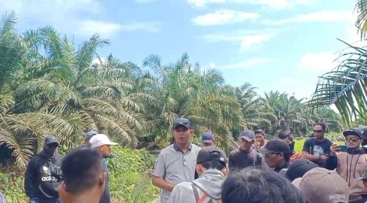 Sengketa Sawit Memanas di Kubu Raya