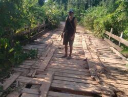 Jembatan Penghubung Desa Libau Rusak Parah, Masyarakat Kecewa pada Pemerintah