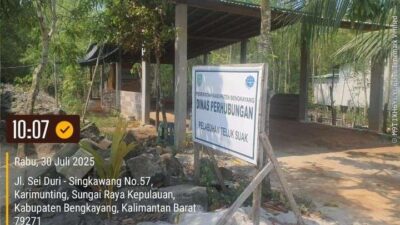 Ratusan Pohon Mangrove di Bengkayang Dibabat untuk Parkir Ilegal, Pemda Diminta Bertindak Tegas