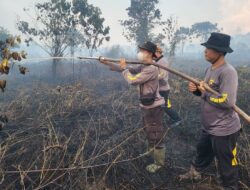 Api Lahan Gambut Dekat Jembatan Tayan Meluas, Ratusan Personel Gabungan Dikerahkan Padamkan Kebakaran