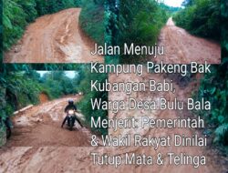 Pak Prabowo, Bantu Kami: Jalan Menuju Kampung Pakeng Bak Kubangan Babi, Warga Desa Bulu Bala Menjerit, Pemerintah dan Wakil Rakyat Dinilai Tutup Mata dan Telinga