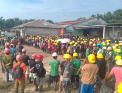 Buruh Dua Perusahaan Perkebunan di Sambas Mogok Kerja 10 Hari, Tuntut Pengakuan Masa Kerja Saat Masih KHL