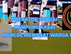 Ancaman Buaya di Kampung Kasai Kian Meresahkan, Warga Desak Pemerintah dan BKSDA Segera Bertindak