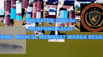 Ancaman Buaya di Kampung Kasai Kian Meresahkan, Warga Desak Pemerintah dan BKSDA Segera Bertindak