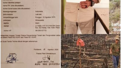 Pelaku Pembakar Lahan Perkebunan Di Sapak Hulu Yang Luas Nya Melampaui Perda Serta Indikasi Penyerobotan Lahan Perkebunan Dengan Cara Berulang Ulang Di Laporkan Di Dirkrimum Polda Kalbar