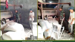 Di Balik Aktivitas Kilang Padi, Babinsa Pantau Ketersediaan Gabah