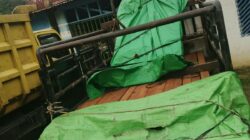 Peredaran Kayu Balok Belian di Melawi ke Kapuas Hulu Diduga Makin Bebas, Polres Kapuas Hulu Diminta Bertindak Tegas